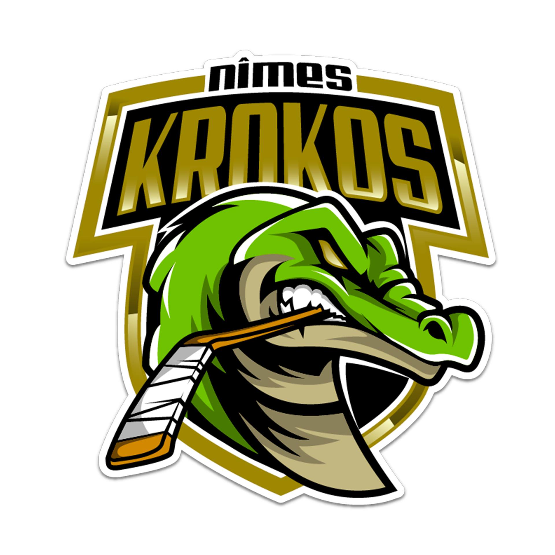 Logo NIMES